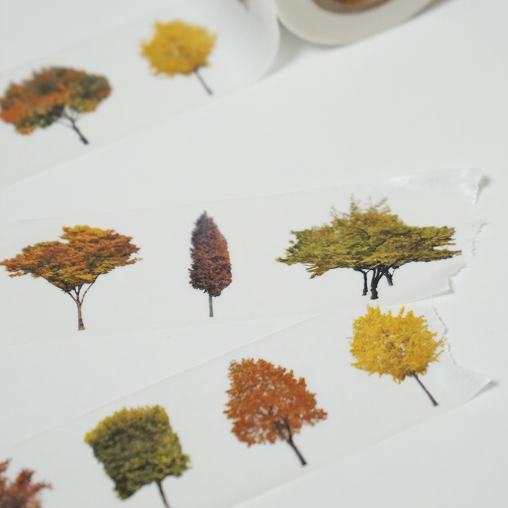 「fall tree」色とりどりの秋の木々。