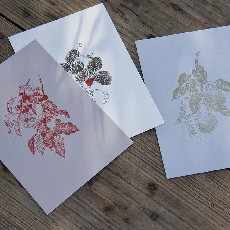 「postcard set」眺めておきたくなる紙片を目指し、紙質と印刷技法、モチーフとの相性を考え制作しているポストカードを3柄1セットでの販売します。