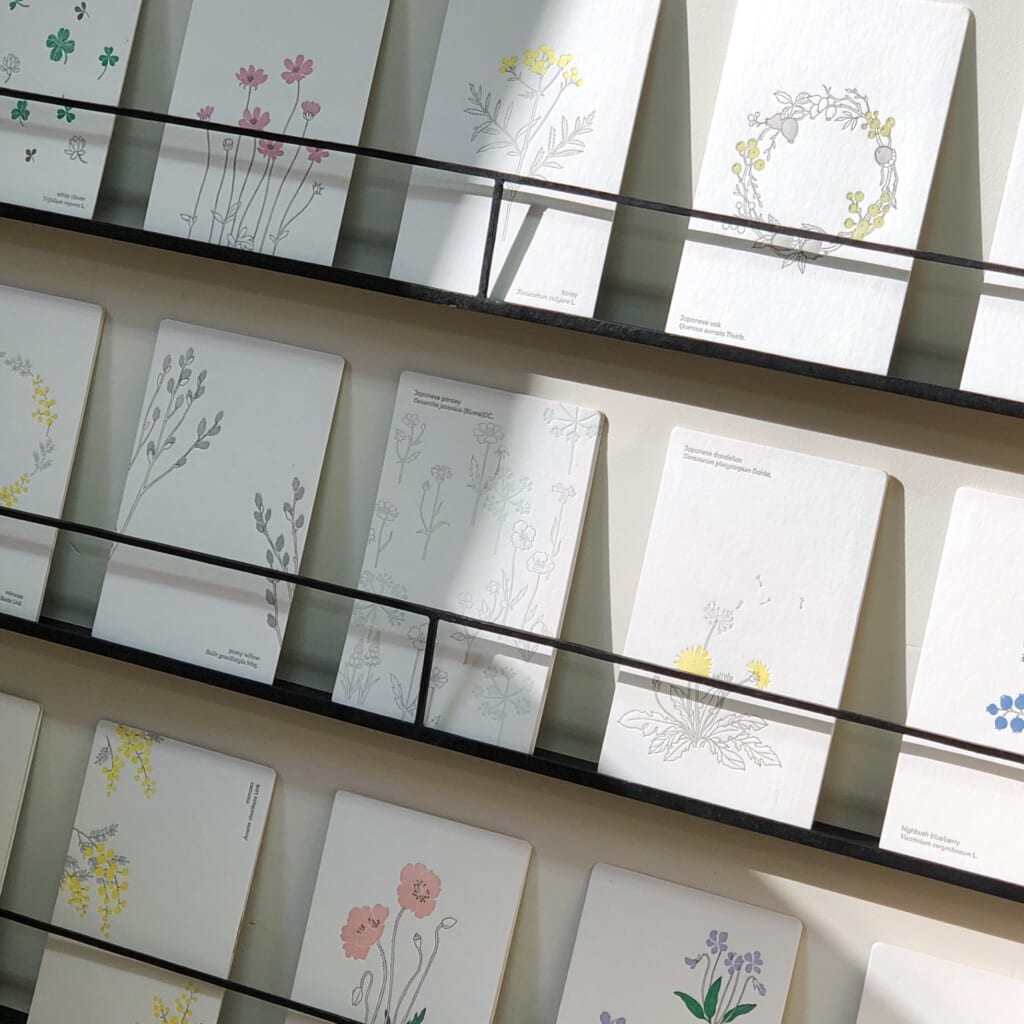 「ボタニカルポストカード」季節折々の野の花を手触り感のある和紙のような風合いの紙に活版印刷で仕上げています。大切な方へ季節のご挨拶にもぜひ!