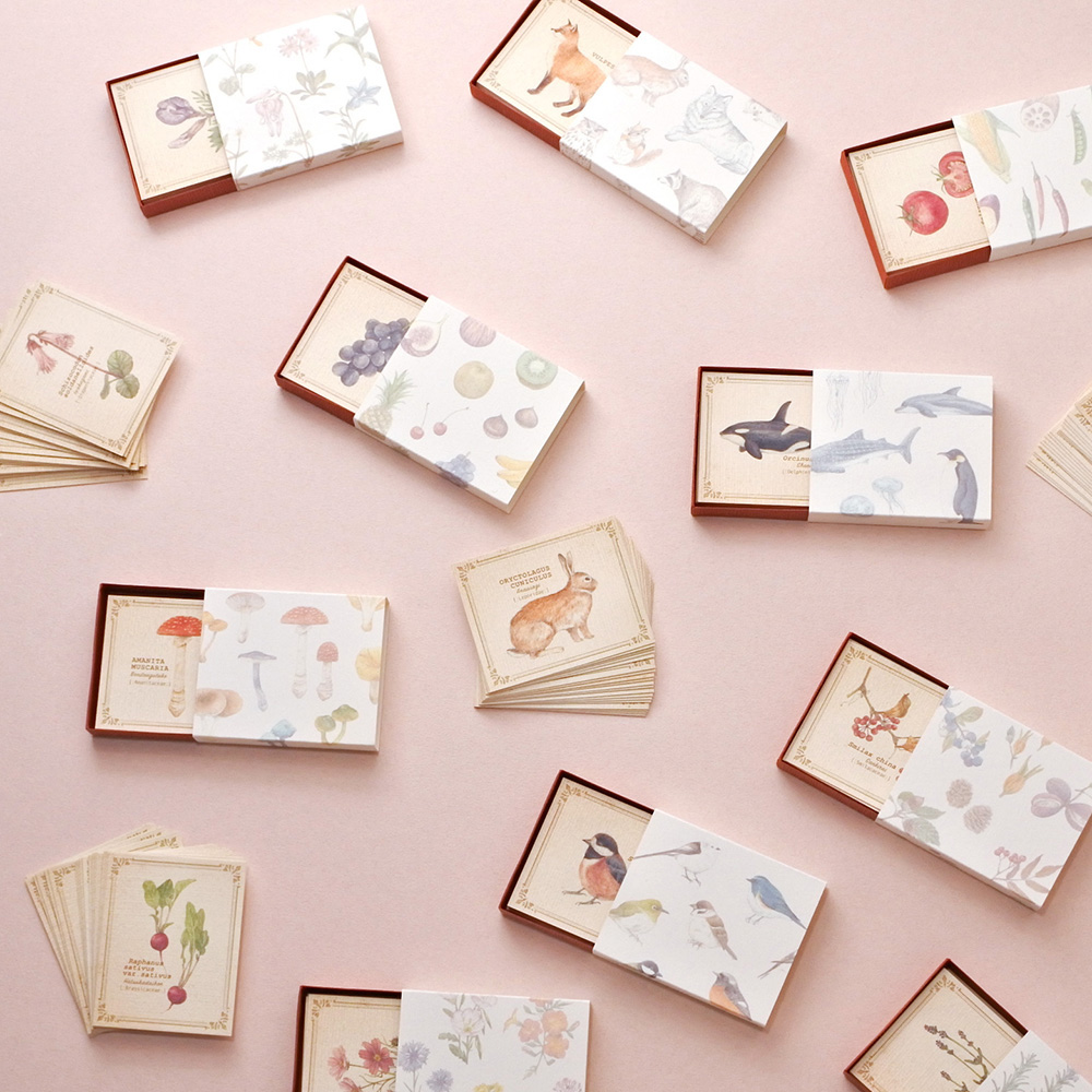 「図鑑風小さなメッセージカードBOX」野鳥や野の花など10種類のモチーフがあり、すべて違う絵柄のミニカードが入っています。