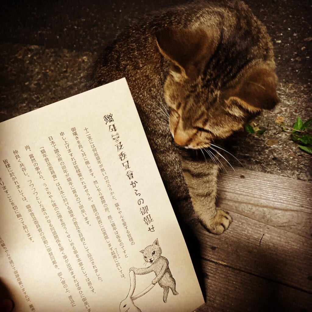 つるぎ堂「猫年普及委員会ポスター」猫年を日本で普及させることを目的としたレトロでユニークなポスター。猫好きの方は必携の一品！