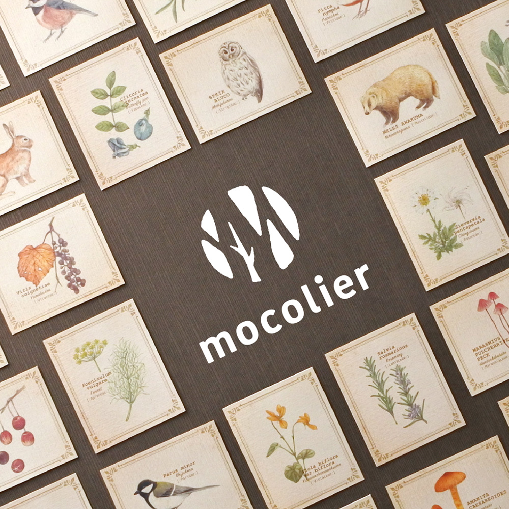 mocolier〔もこリエ〕