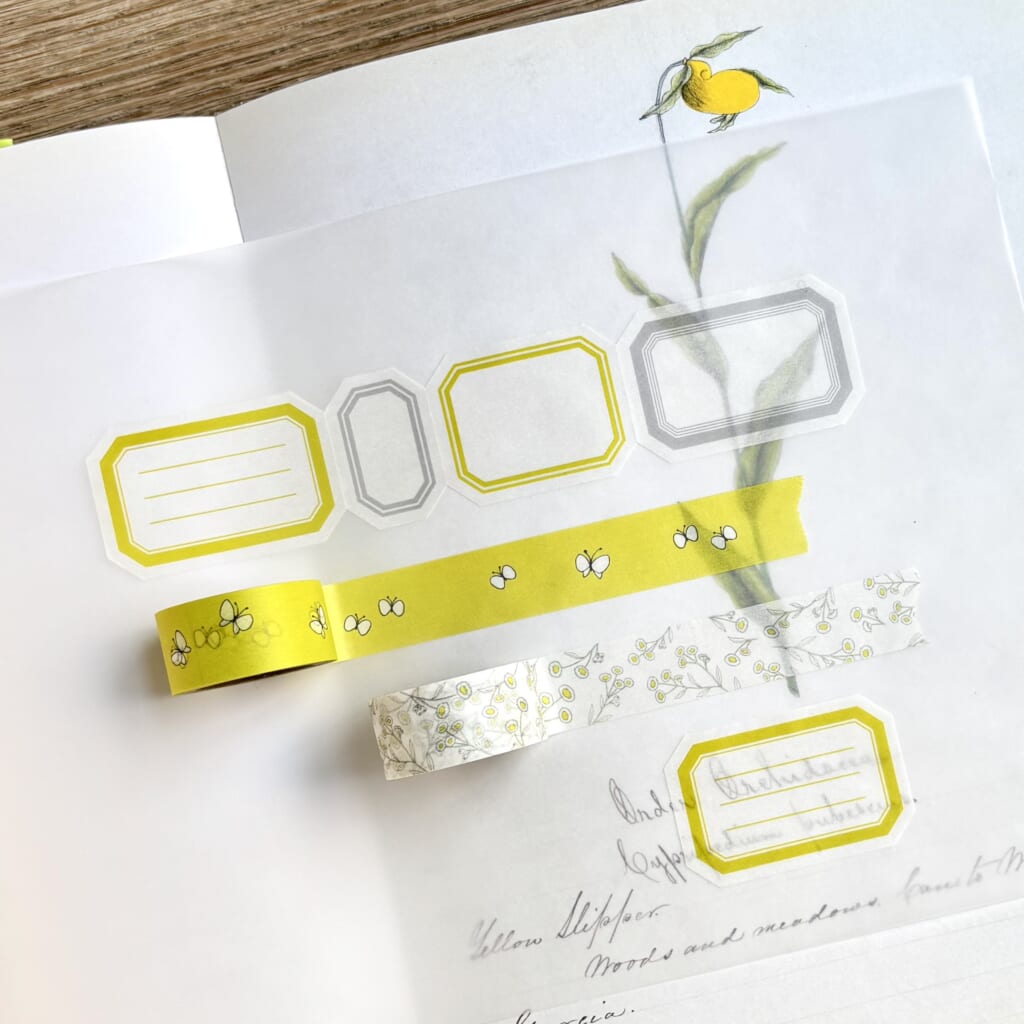 ぺんで書いたり、スタンプがきれいに押せるマステいろいろ。