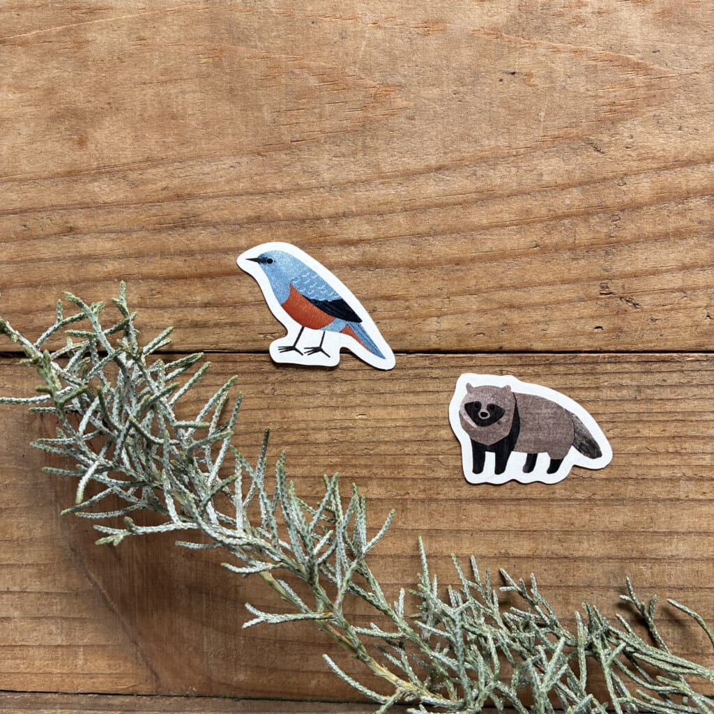 「イソヒヨドリとタヌキ」バードウォッチングフレークシールの中に新しく登場します。