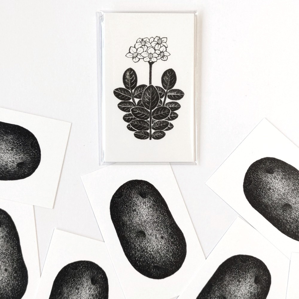 「じゃがいものメッセージカード」全7枚中お芋が2〜5個入！5個入りは重いですがレアです。