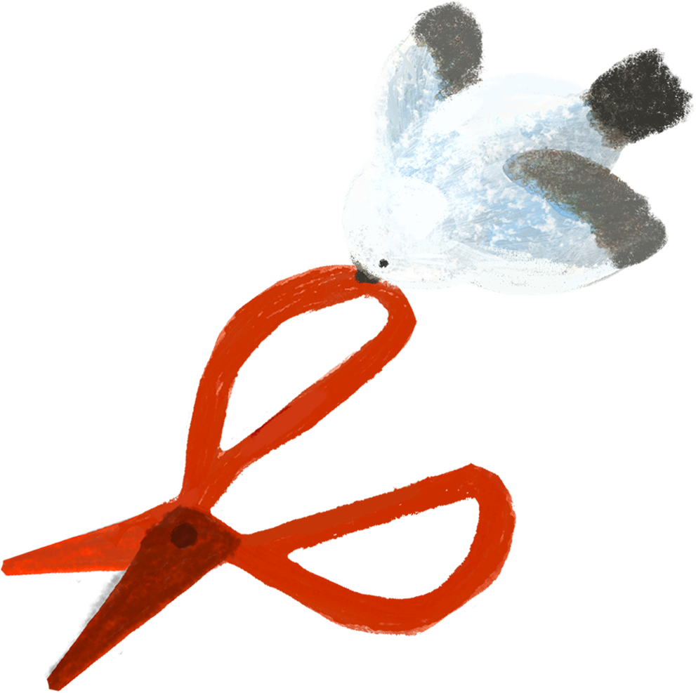 お楽しみコンテンツ