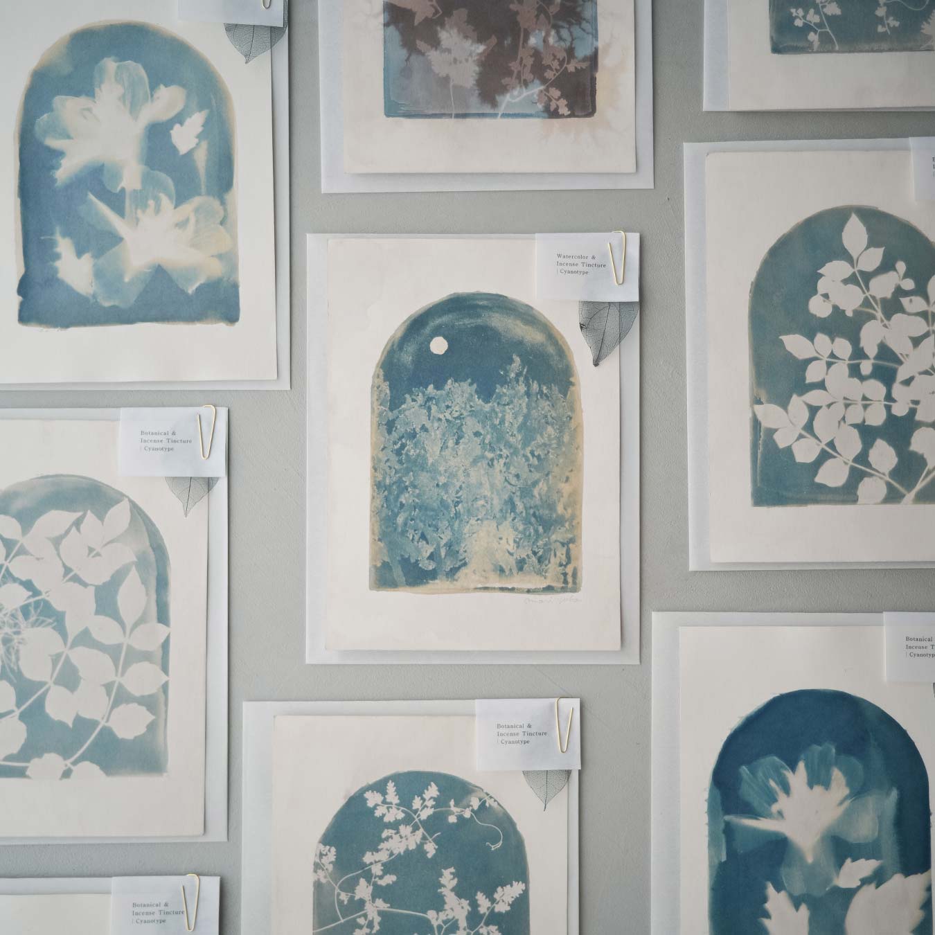 「Botanical & Incense Tincture Cyanotype」植物や水彩画と、香木の抽出液を使用して制作した、サイアノタイプ作品です。