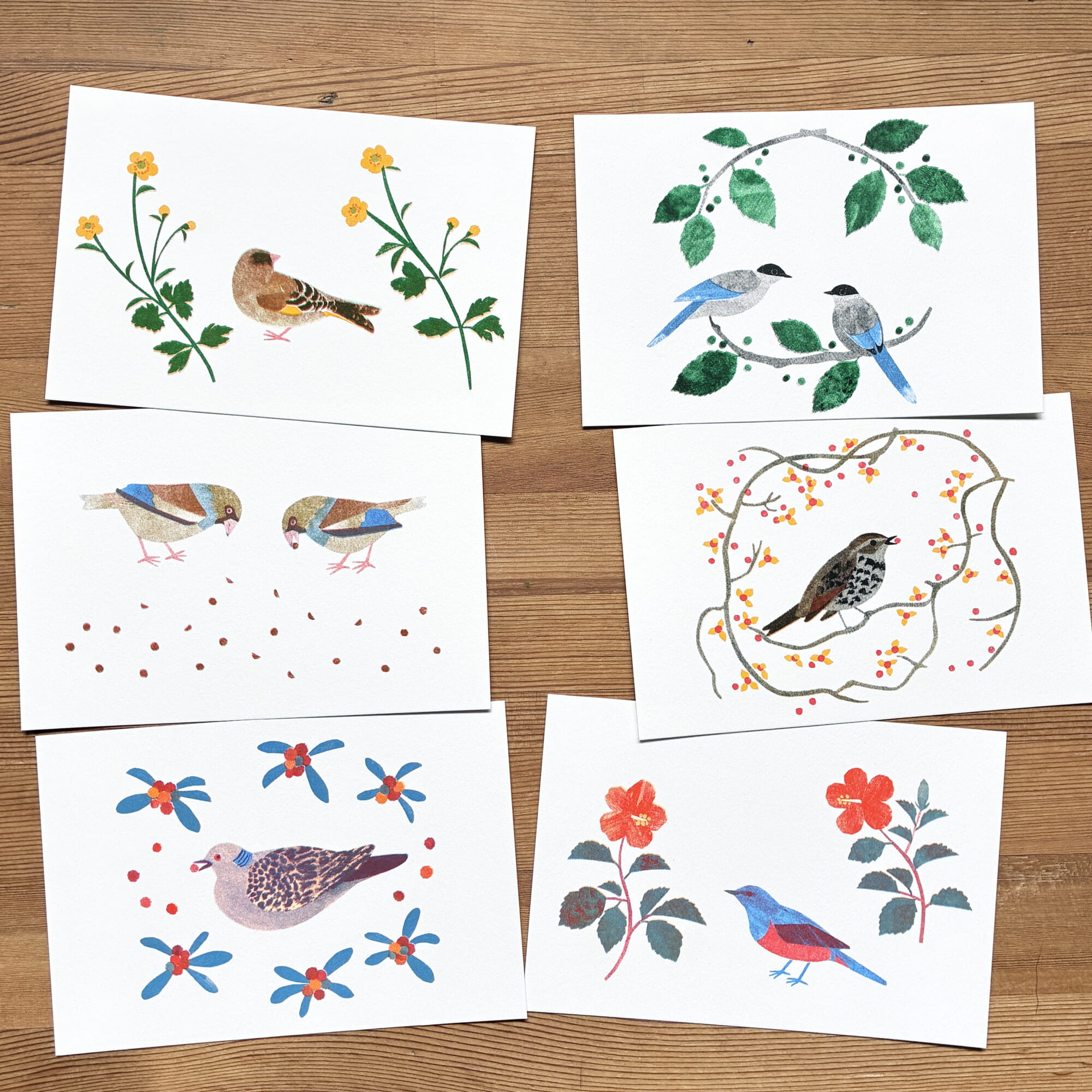 「ポストカードセット」小さな木の実と、花と鳥たち。6種類の絵柄がセットになっています。