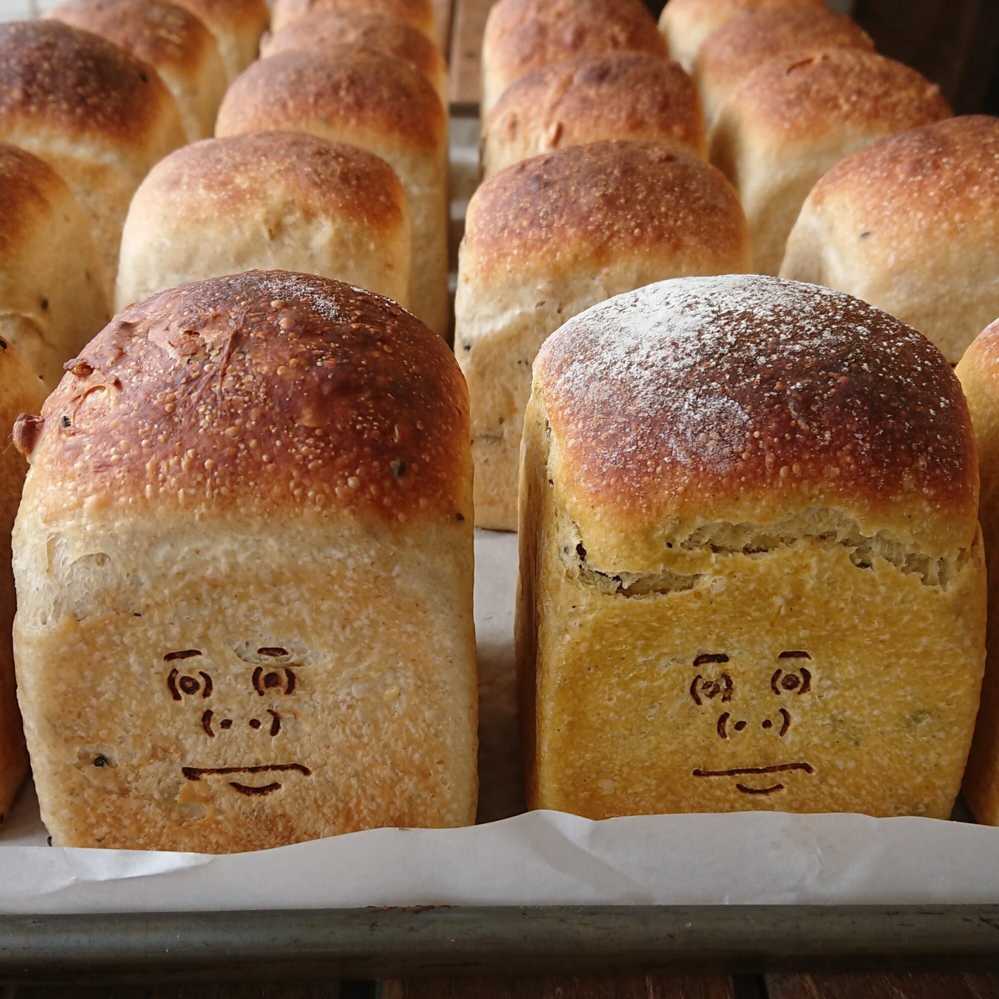 自家製酵母ならではの旨味のある生地の味わいを探求したパンいろいろ